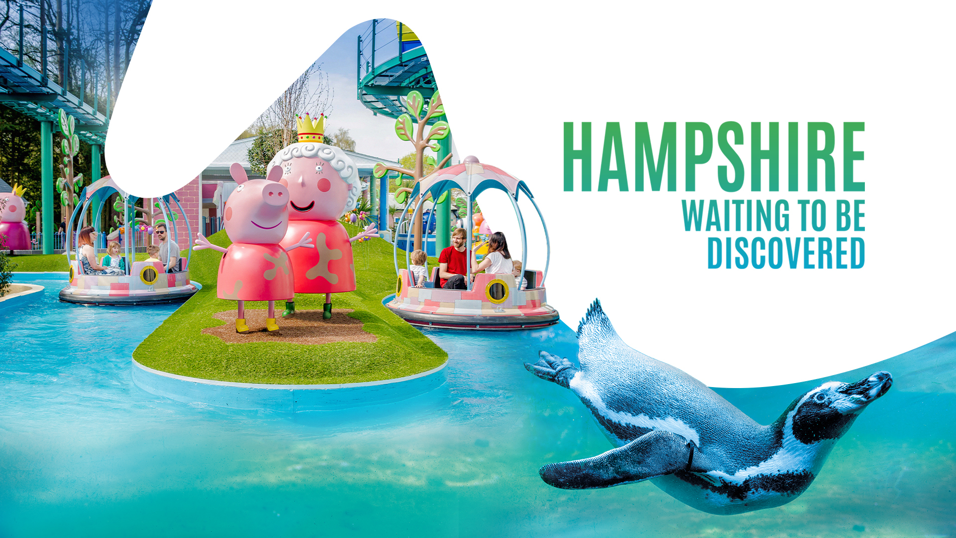 full width signpost background image